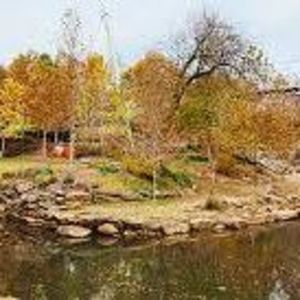 Meet your Posher, Jaden